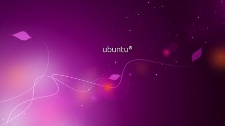 Ubuntu desktop background wallpaper