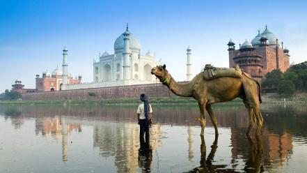 Yamuna river agra india wallpaper