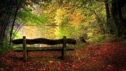 Bench lakes leaves nature trees wallpaper