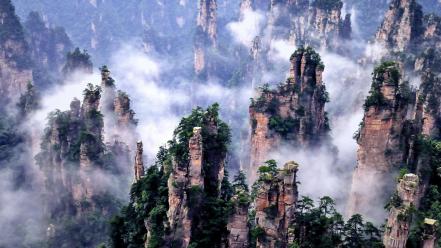 China forests national nature park wallpaper