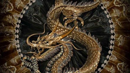 Chinese dragon pictures wallpaper