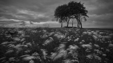 Clouds landscapes trees meadows grayscale wallpaper