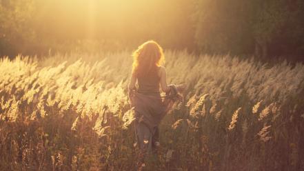 Fields meadows long hair sunlight flora backside wallpaper