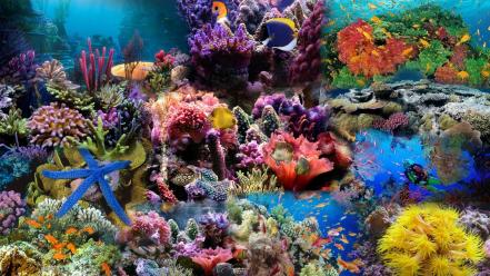 Aquarium wallpaper
