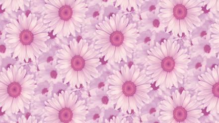 Backgrounds daisy flowers patterns pink wallpaper