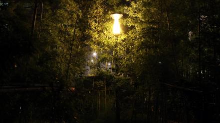 Bamboo garden roads street lights wallpaper