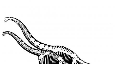 Black and white comparisons dinosaurs gauge human wallpaper