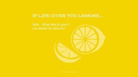 Design flat lemons yellow wallpaper