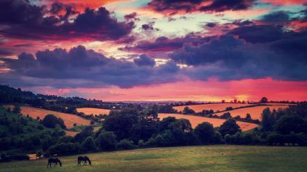 Flora ireland animals bushes clouds wallpaper