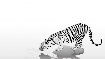 N artwork black white tiger wallpaper