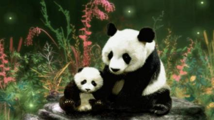 Animals panda bears wallpaper