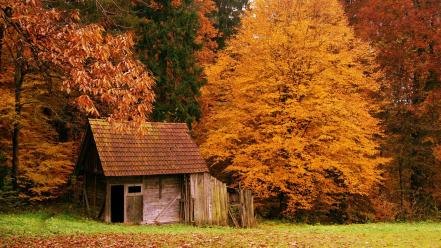 Cabin in the woods autumn forests huts wallpaper