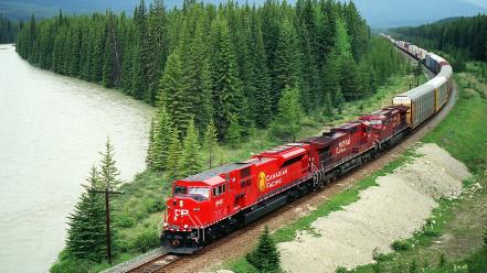 Canada canadian grove pacific forests wallpaper