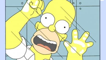 Homer simpson the simpsons cartoons wallpaper
