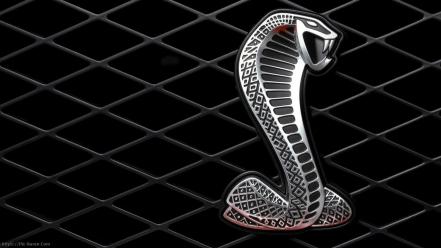 Mustang king cobra emblems logos snakes wallpaper