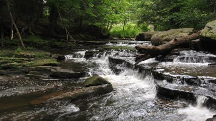 Nature rocks trees water wallpaper