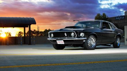 1969 ford mustang cars muscle vehicles wallpaper