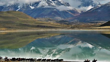 Chile patagonia clouds horses lagoon wallpaper