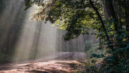 Mississippi area forests landscapes light rays wallpaper