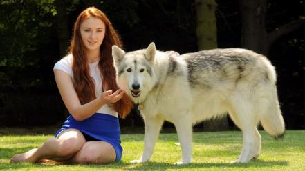 Sophie turner (actress) direwolf wolves wallpaper