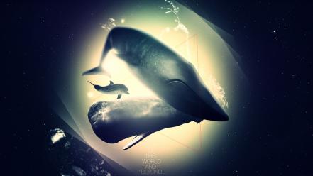 Animals dolphins outer space surreal text wallpaper