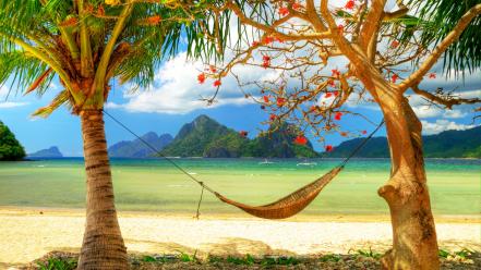 Beaches hammock ocean palm trees vacation wallpaper
