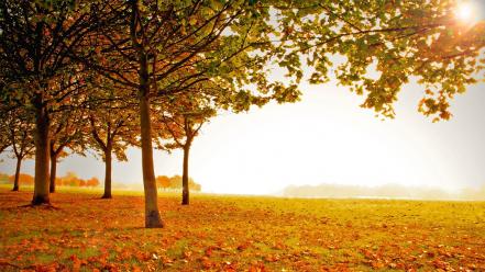 Beautiful fall scenery wallpaper