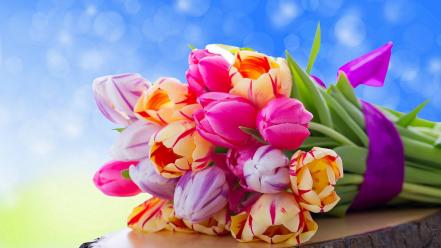 Colorful tulips bouquet wallpaper