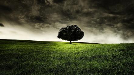Grass landscapes lonely nature storm wallpaper