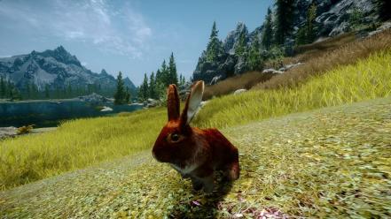 Scrolls v: skyrim bunnies nature video games wallpaper