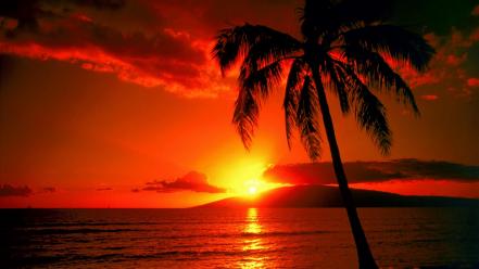 Sunset beautiful beach wallpaper