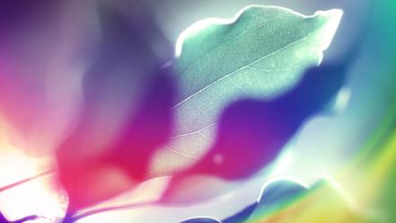 Abstract backgrounds design leaves multicolor wallpaper