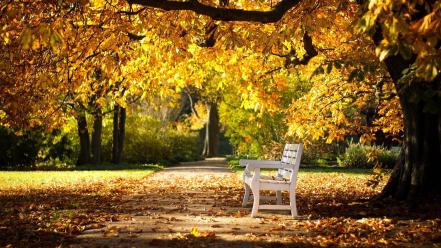 Autumn park bench wallpaper