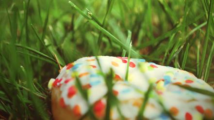 Donuts grass macro sprinkles wallpaper