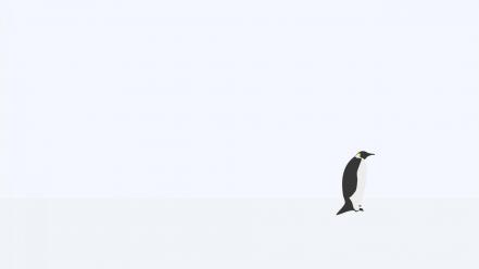 Abstract penguins simple white background wallpaper