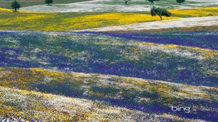 Alentejo bing portugal landscapes meadows wallpaper