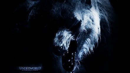 Underworld wear wolf movies scary wallpaper