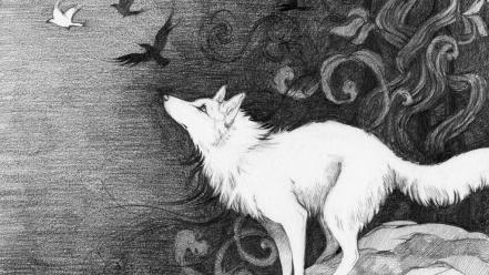 Animals birds follow your dream white wolf wallpaper