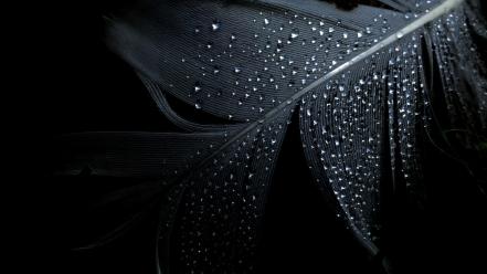 Black background water drops wet wallpaper