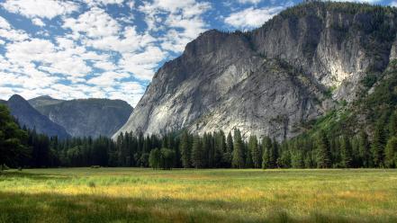 California usa yosemite national park fields forests wallpaper