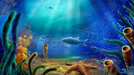 Fish sea underwater wallpaper