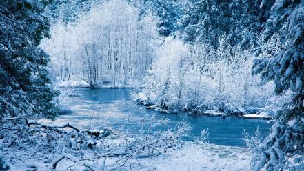 Forests lakes landscapes nature snow wallpaper