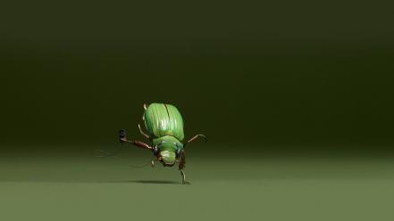 Funny insect pictures wallpaper