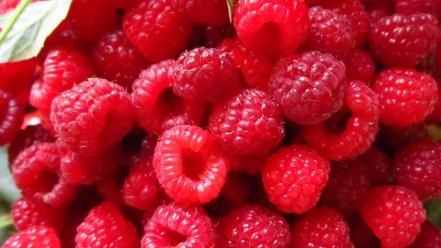 Food fruits macro raspberries wallpaper