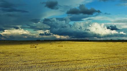 Ukraine nature prairie wallpaper