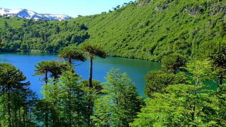Chile blue forests green lagoon wallpaper
