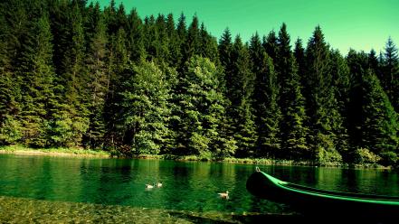 Forests green lakes nature wallpaper