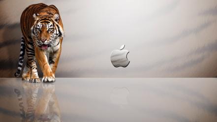 Apple Mac Tiger wallpaper