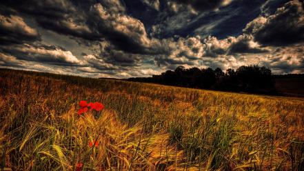 Clouds landscapes fields skies wallpaper