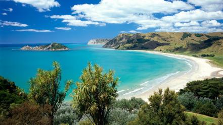 Nature beach new zealand bay wallpaper